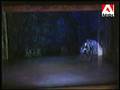 Molly Smolen does 5 turns in The Sleeping Beauty