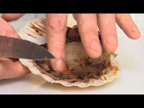 kuechengoetter - Wie man Jakobsmuscheln richtig zubereitet erfahren Sie in diesem Küchenpraxis-Video.