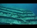 Thistlegorm