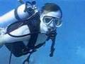 Life Aquatic Aruba