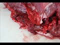 The Lifeline of meat