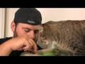 How To Make a MEAN KITTY Love U!