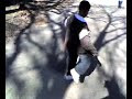 lil niGGa buckin