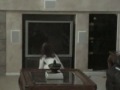 Kung-Fu Dancing Kitty