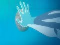Dragonaut The Resonance 1 (2-3)