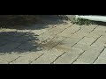 Tomato bomb