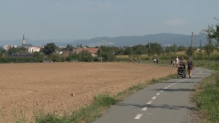 Mohelnicko-loštický Capáček