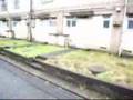 ひばりヶ丘団地2008