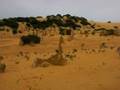 videos de Barb and Sheryl and the Galahs at the Pinnacles