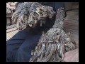 Man turning into a tree