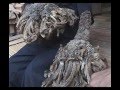 Man turning into a tree