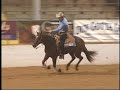 Banjo Hustler SWRHA Open Finals by Banjo Whiz