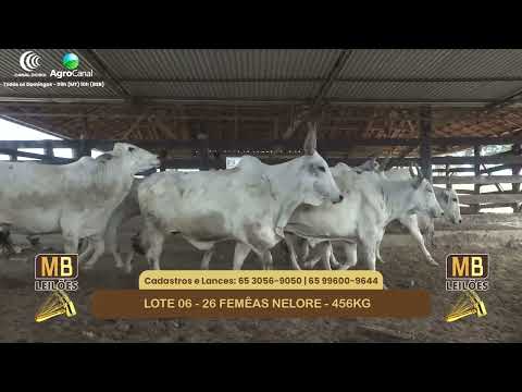 551� LEIL�O VIRTUAL MB LEIL�ES