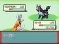Pokemon Emerald- How to catch shiny Pokemon more often Pokemon Emerald- How to catch shiny Pokemon more often