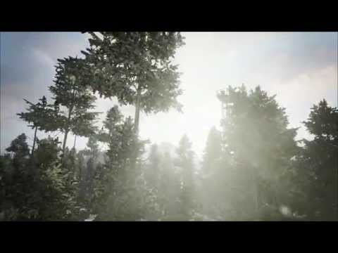 Immagine anteprima YouTube