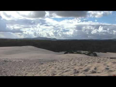 Video - Contiki Australia