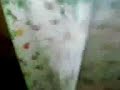 Elisa en la ducha