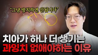 미래플란트치과