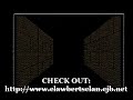 a video that features the game: wizardry - proving grounds of the mad overlord, nes version. i'm playing the game using my seventh party out of several.