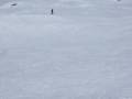 Åre topzone telemark
