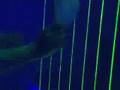 lasershow beambox interactive lasershows