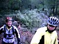 Trialera de Potrillos