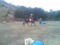 \"Chief\" gets a workout \"Chief\" gets a workout