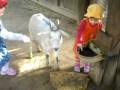 videos de Naomi the Animal's Personal Trainner