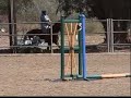 ME Imagine-Welsh Cob Gelding-Cross Country