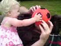 MOV02331 MOV02331