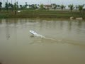 RC High Speed Boat like jumping