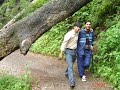 Ayubia (Murree) Tour
