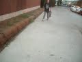 Sk8 Mafia 013.avi