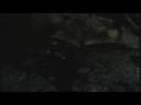 Halo 3: ODST Opening (new trailer) HD Halo 3: ODST Opening (new trailer) HD