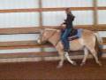 videos de Western and Bareback