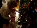 how i trim a tree.MOV