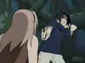 sauske and sakura Why cant I