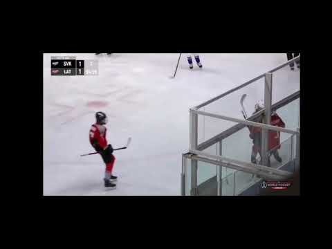 Oskars Apsitis HL2 2024