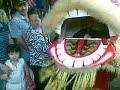 Tet festival in bankstown sydney - lion dance crew