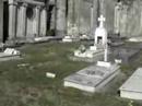 Brutal profanación del Cementerio de Pereiró, en Vigo