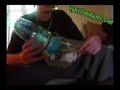 How to make the Lung. More videos go to www.waytoomany.com :)