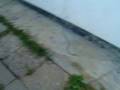videos de Wysadzanie kondensatorow