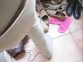 Le vestiaire � Mille-Pattes