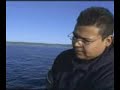 Fishing for white sea bass and halibut