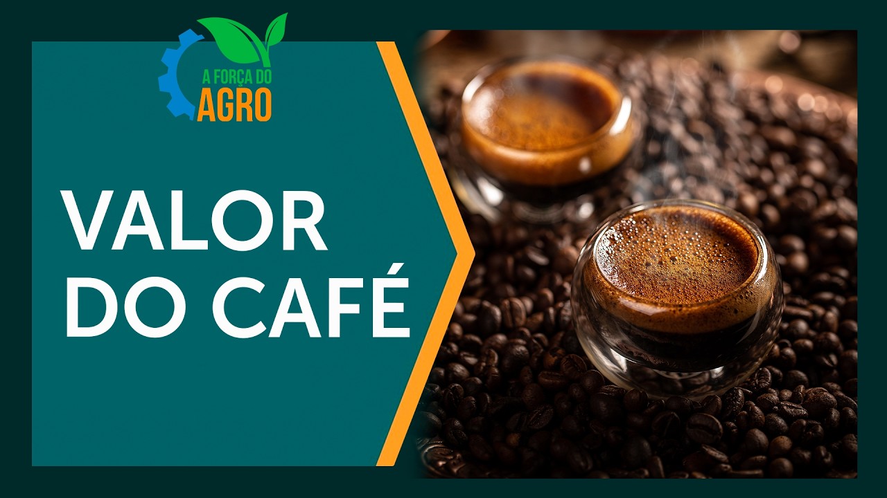 O que o Brasil perde ao exportar só café verde?  |  A Força do Agro, com Joice Maffezzolli