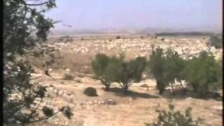 قرية يالو بعد الهدم والترحيل  -Yalu Village after destruction 1967