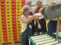 trabajando en los kiwis... esta vez con mas kiwis jejeje