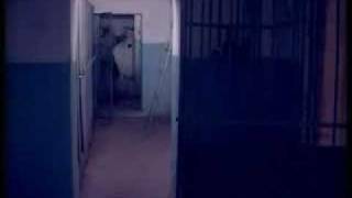 Приключения Электроников - Лесной Олень