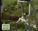 MIA (Ch.7) Going Off-Grid (Ep.5) Your Own Power Company