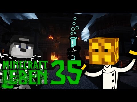 Leben - 35 - ICH ZERSTÖRE DAS SYSTEM!